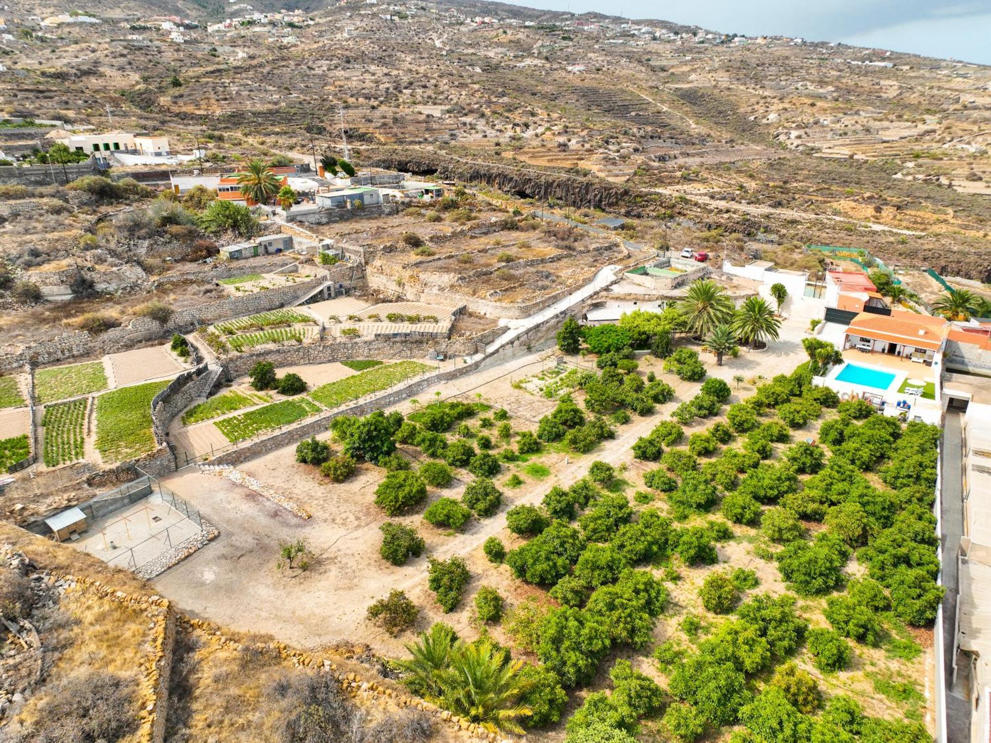 Villa Private House With Pool & Garden Güímar Exterior foto
